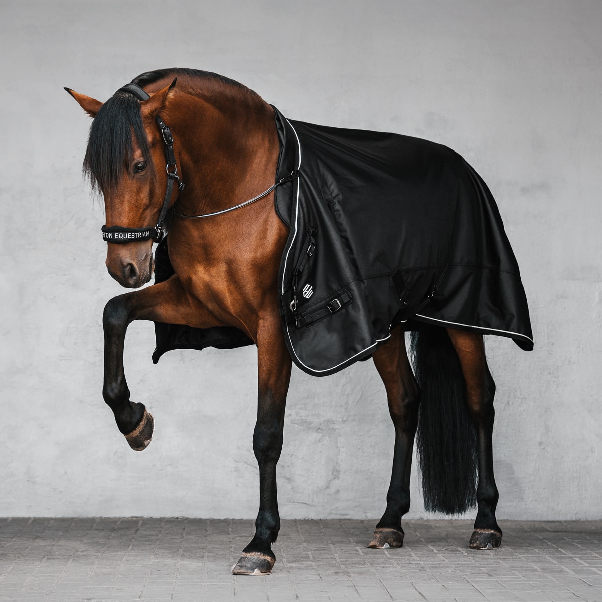 Axel 3-in-1 Horse Blanket 300g