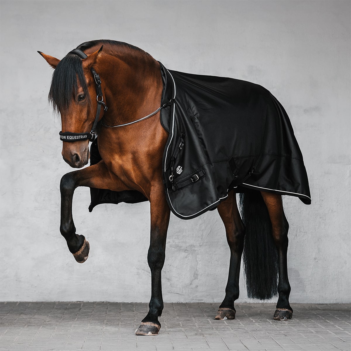 Valor 3-in-1 Horse Blanket 0g